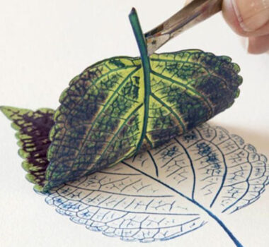 vegetable stamping with ink - the art room in Port Lambton